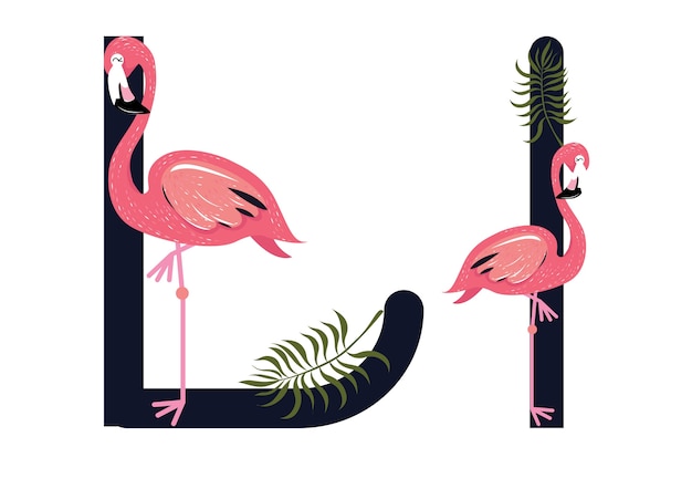 Ll flamingos