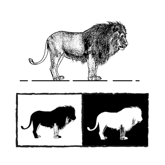 Löwen-Silhouette-Ikonen Majestätische und kraftvolle Wildtierlustration
