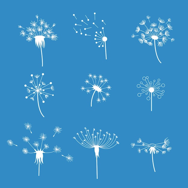 Löwenzahn flauschige Blumen und Samen weiße Silhouette auf blauem Hintergrund Set Dekoration Sommerpflanze. Vektor-Illustration