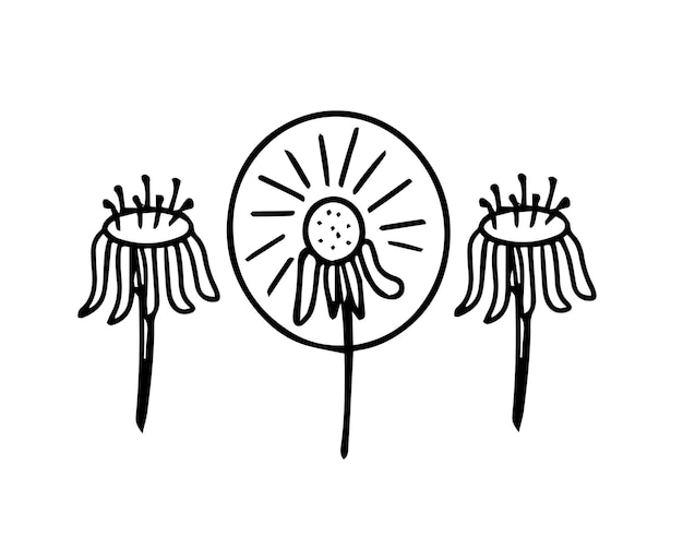 Löwenzahn mit fliegender samenblume handgezeichnete illustration