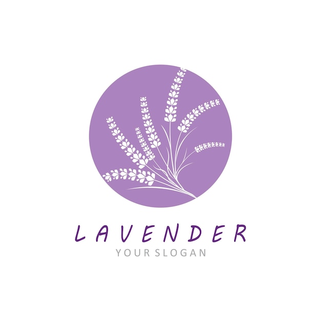 Logo-vektor mit frischer lavendelblume