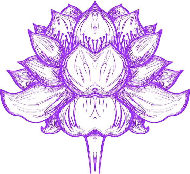 Lotus-blumen-illustration