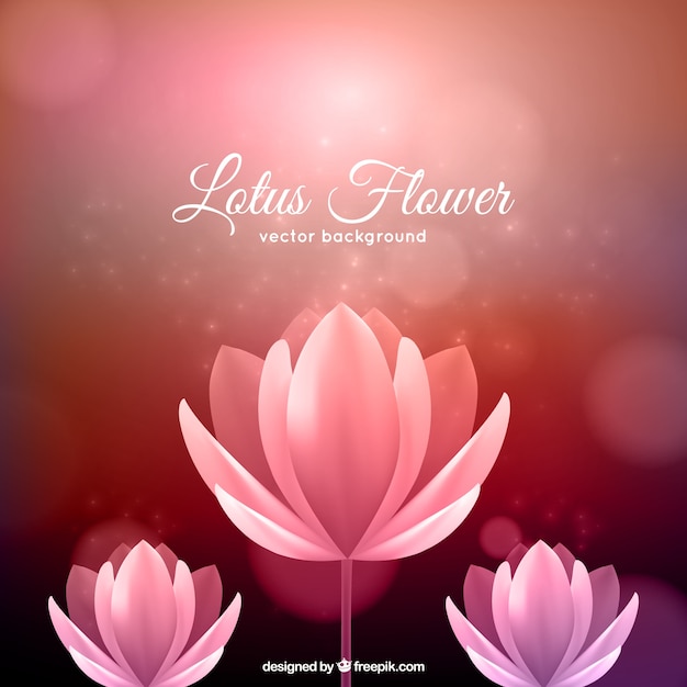 Lotus flower background