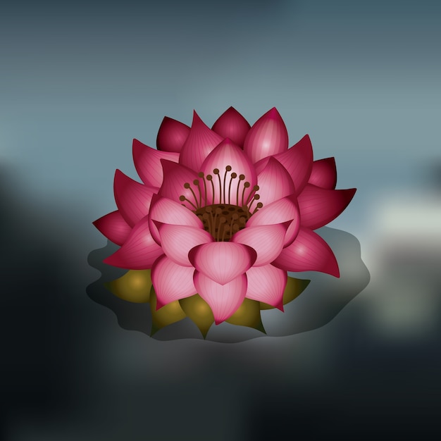 Lotus Flower über Unschärfe Hintergrund isoliert Icon Design