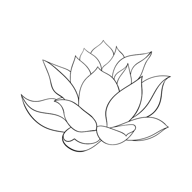 Lotusblume große Knospe einfache Zeichnung eines Lotus mit gebogenen Blütenblättern