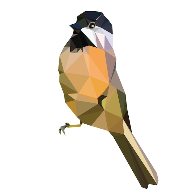 Low-poly-vogel-vektor-designfarbe