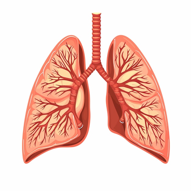 Vektor lung_cancer_diagram_in_details_vector