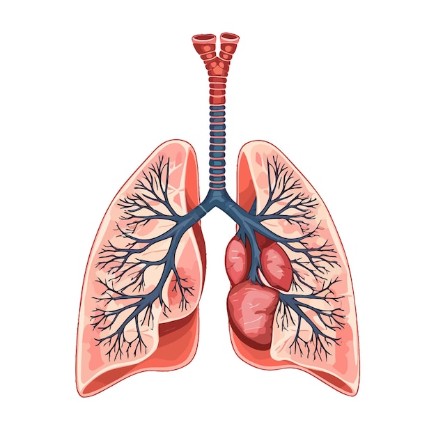 Vektor lung_cancer_diagram_in_details_vector