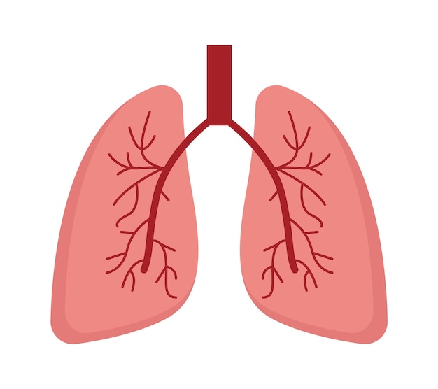 Lunge menschliches Organ Vektor-Illustration