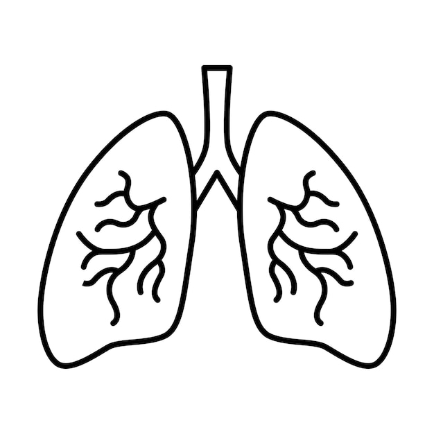Lungenorgane menschlicher Symbolvektor im trendigen Design
