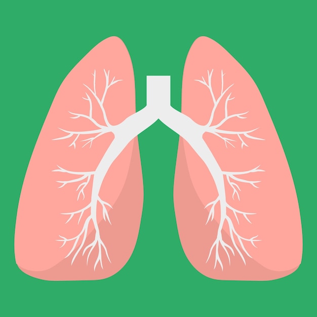 Lungensymbol menschliches inneres organ medizinisches vektorsymbol anatomiekonzept flacher stil des gesundheitswesens