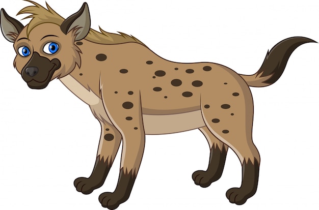 Lustige hyäne lokalisiert