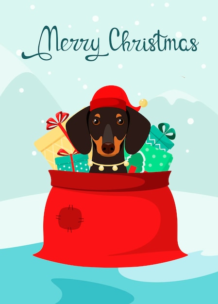 Vektor lustiger dackelhund in einer tasche mit weihnachtsgeschenken. cartoon-stil.