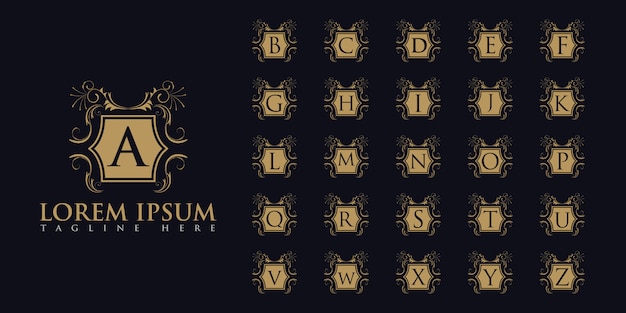 Vektor luxuriöses buchstaben-logo-set