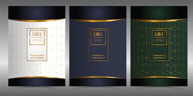 Luxus paket menü cover design geometrisch