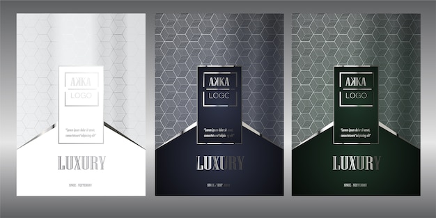 Vektor luxus paket menü cover design geometrisch
