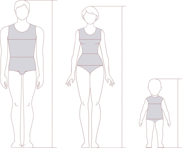 Männer-, Frauen- und Kinderkörpervorlage für Mode- und medizinisches Design