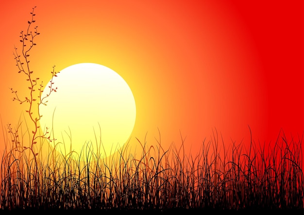 Magischer Sonnenuntergang