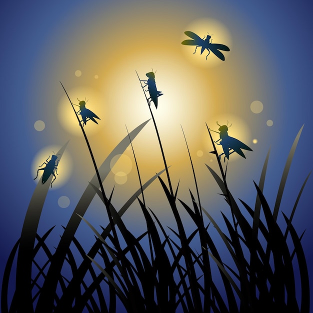 Magisches und abstraktes bild von fliegender heuschrecke und silhouette von glühwürmchen im nachtwald
