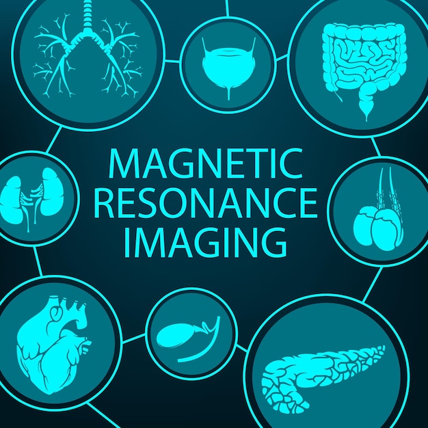 Magnetresonanztomographie mri medizinische diagnostik