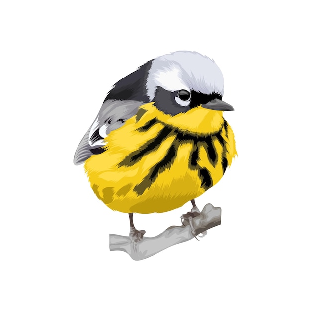 Vektor magnolia warbler vogelvektor