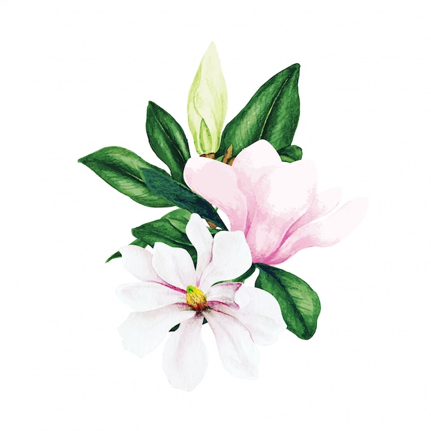 Magnolie und Blätter, heller Aquarellstrauß