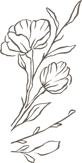 Vektor magnolienblütenlinie vektorlogo elegante hochzeit zarte florale natur wildblume