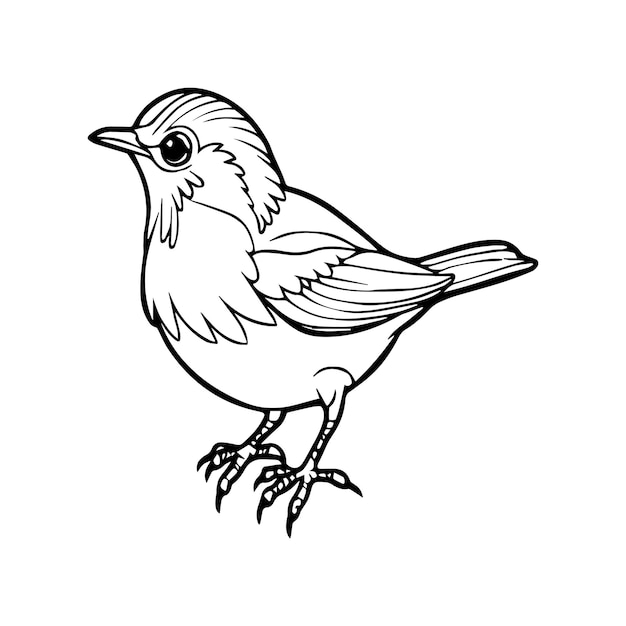 Malblätter für Vögel für ein Malbuch