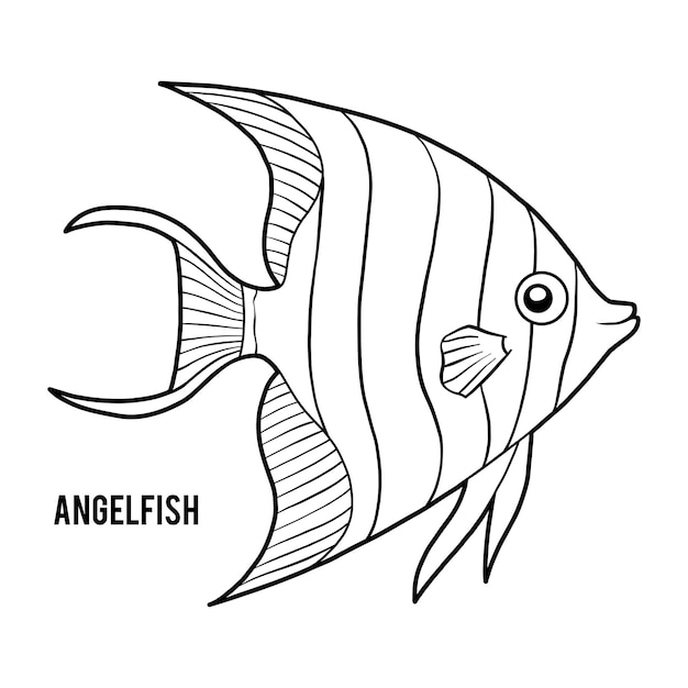 Malbuch für Kinder Angelfish