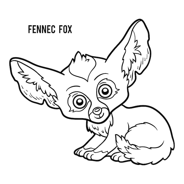 Malbuch für kinder, fennec fuchs