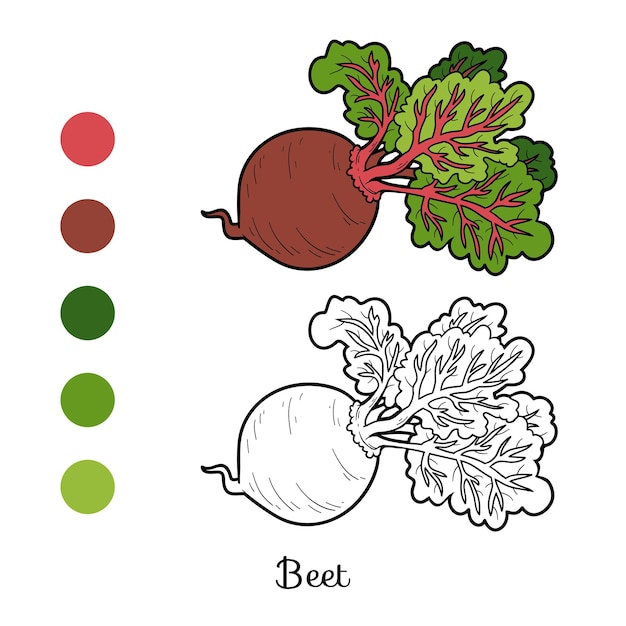 Malbuch für kinder, gemüse, rüben