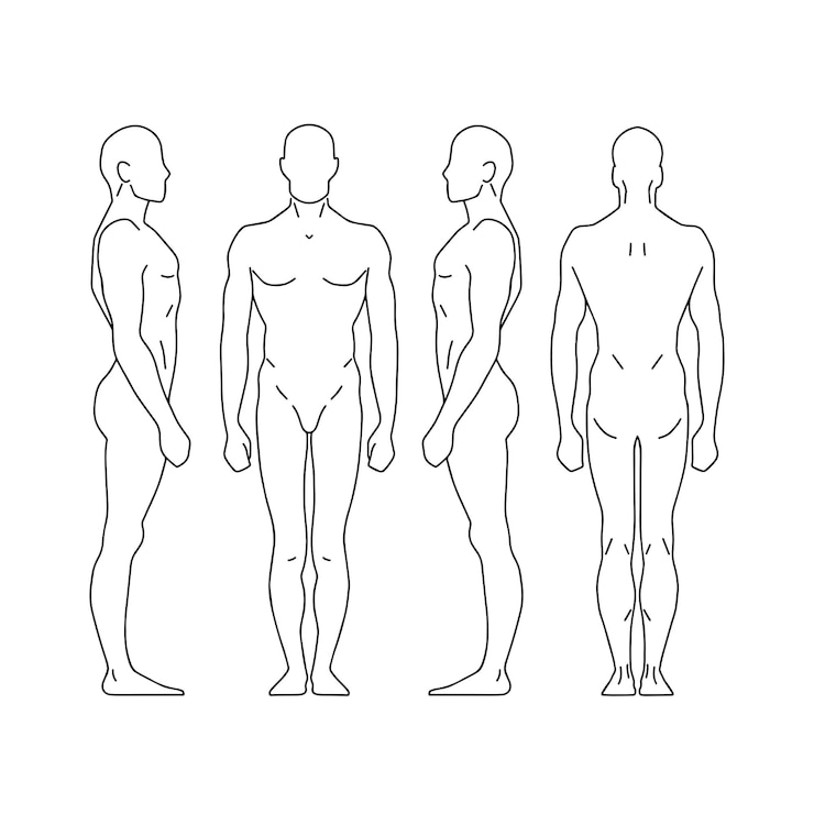 Vektor man contour silhouette eines mannes stehend vorderseite zurück