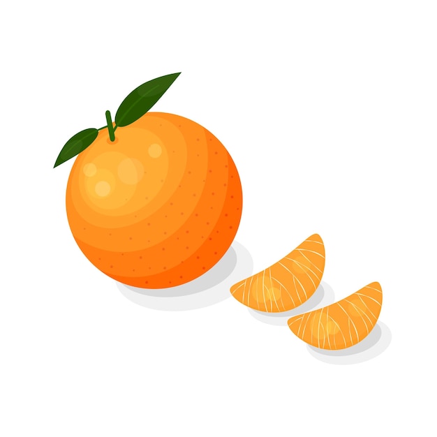 Vektor mandarine im cartoon-stil