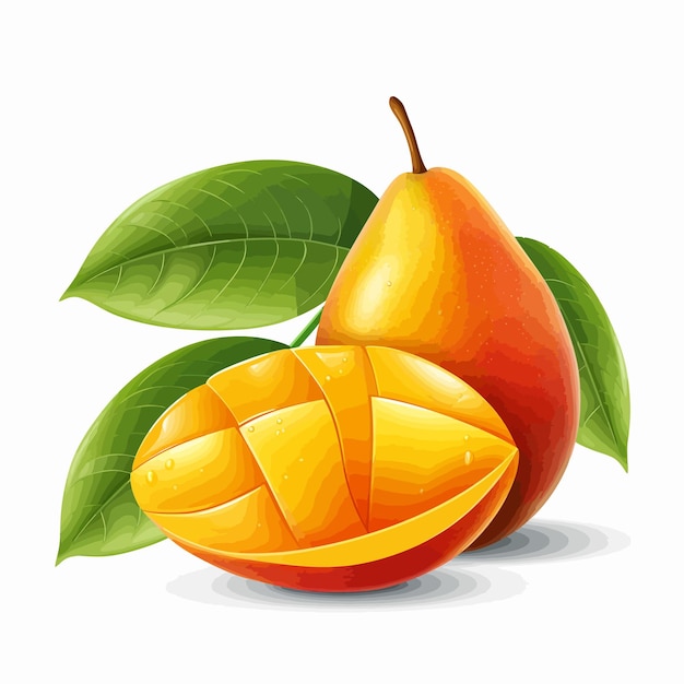 Mango mango-frucht isolierter vektor