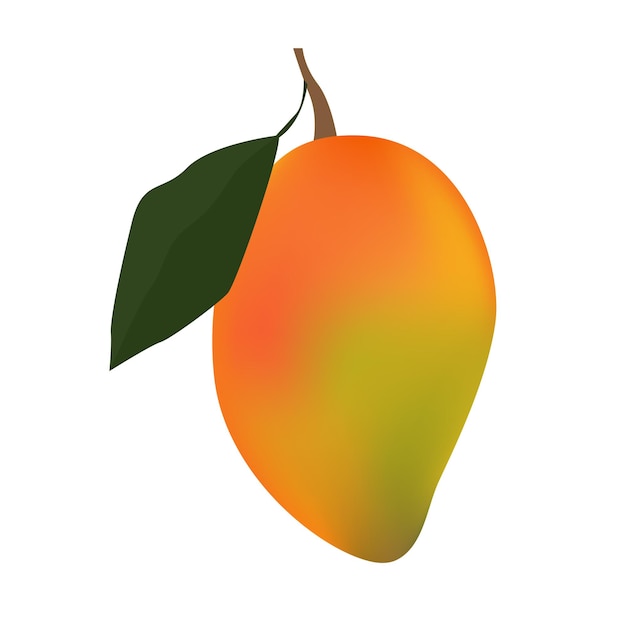 Mango-Sommerfrucht isoliert auf weißem Hintergrund