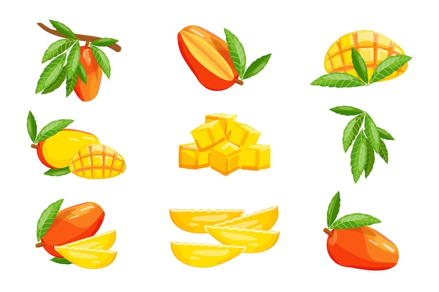 Mango-symbole setzen cartoon-vektor mangoscheiben