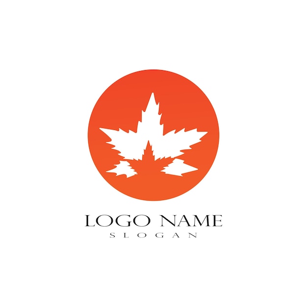 Maple Leaf Logo Entwurfsvorlage