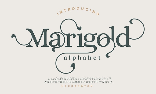 Marigold Luxus elegante Buchstaben und Zahlen Elegante Hochzeitstypografie klassische Serifenschrift