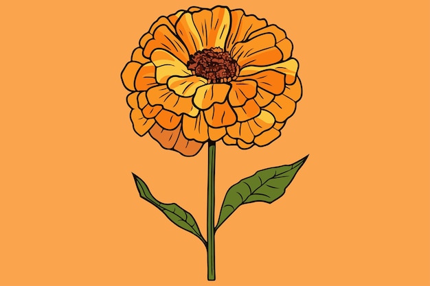 Marigold