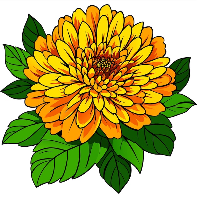 Marigoldblume mit grünen blättern
