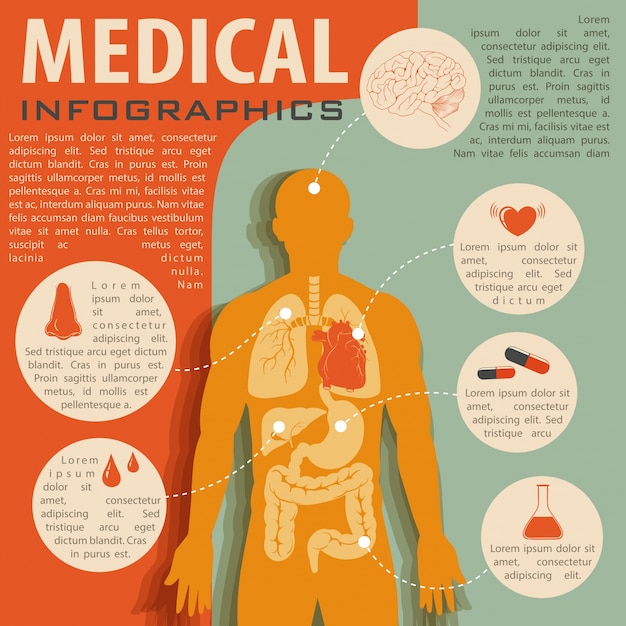 Medizinische infografik mit menschlicher anatomie