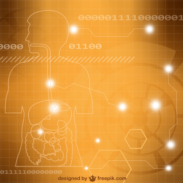 Medizinischen hintergrund verdauungssystem