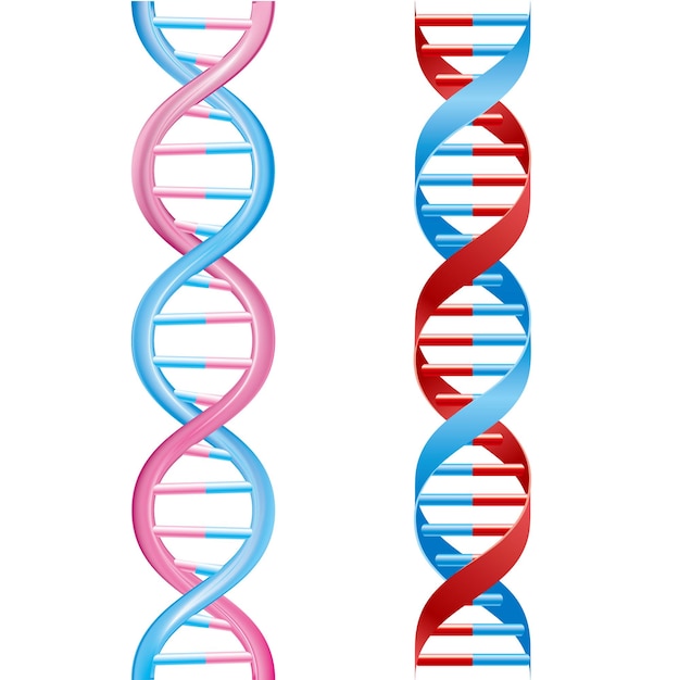 Medizinisches konzeptdesign, vektorgezeichneter dna-strang, isoliert auf weißem hintergrund.