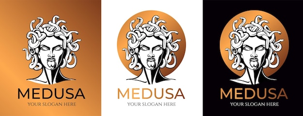 Medusa Gorgon Logo Kopf einer Frau mit Schlangen Schutzamulett Logo für verschiedene Richtungen Vektorbild