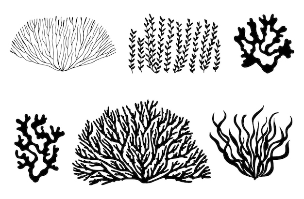 Vektor meereskorallen und algen schwarzer silhouettenvektor isoliert