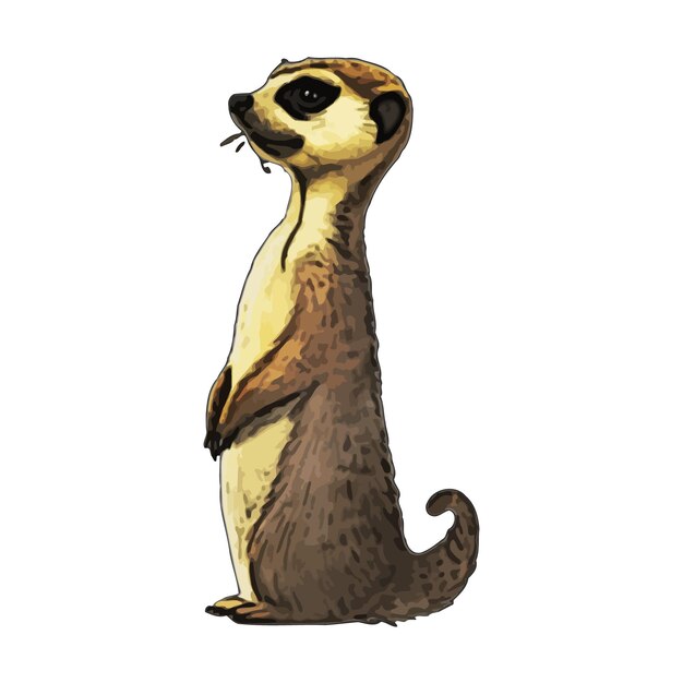 Vektor meerkat aquarell-vektor-bildgebung