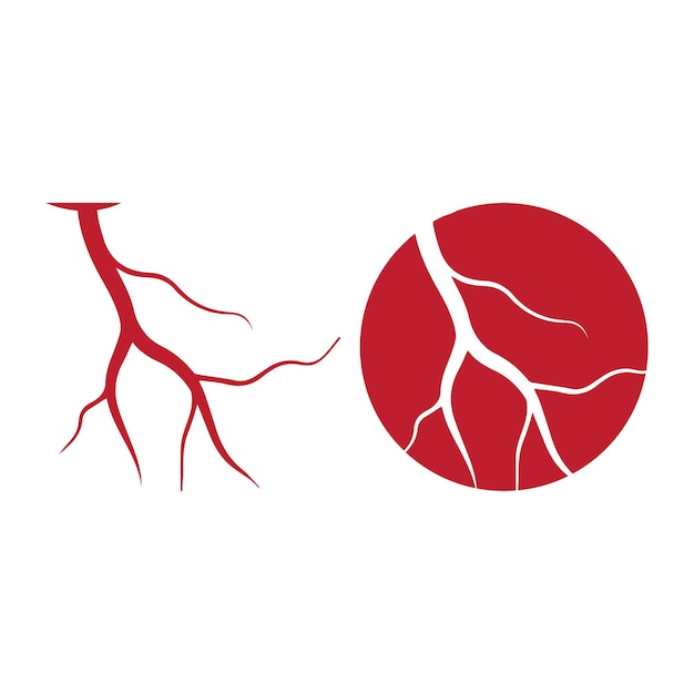 Vektor menschliche venen rote blutgefäße design und arterien vektor-illustration isoliert