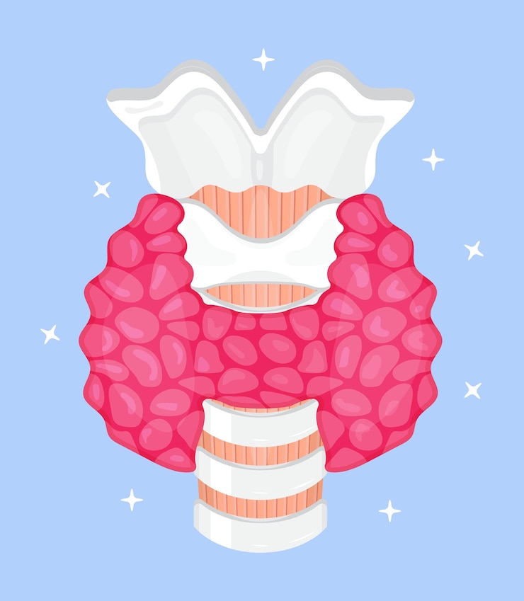 Vektor menschlicher schilddrüsenvektor hypothyreose-konzeptvektor endokrinologie-diagnose-illustration t