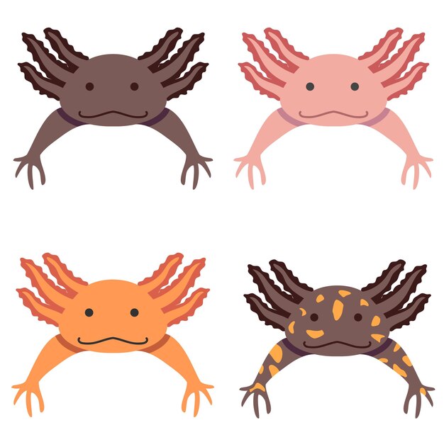 Mexikanischer axolotl-illustrationssatz