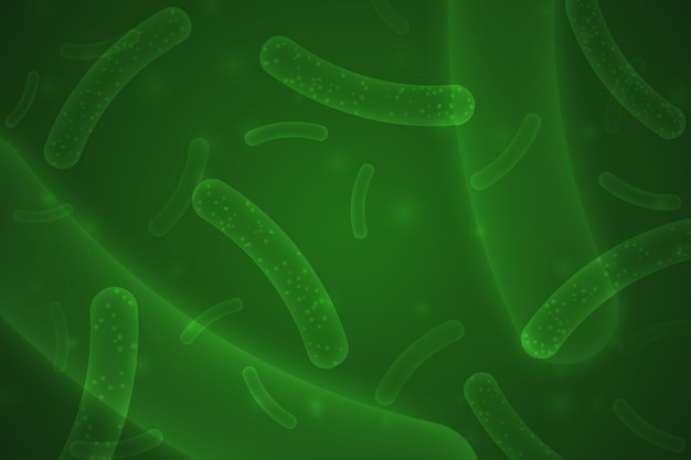 Mikro-probiotische bakterien